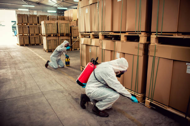 Best Termite Control Services  in Rankin, TX
