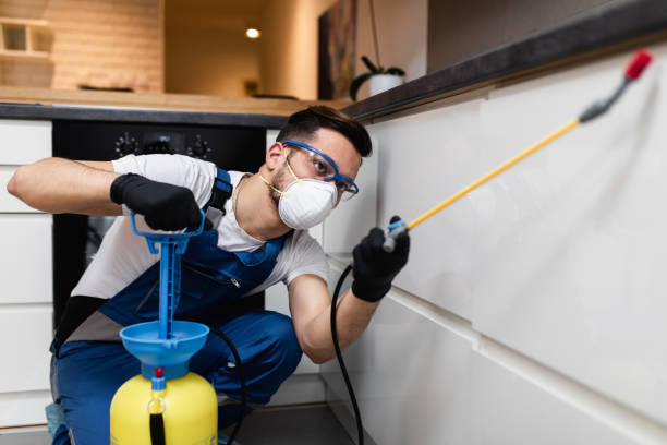 Best Rat Extermination Near Me  in Rankin, TX