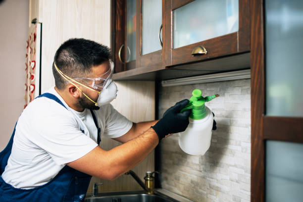Best Local Pest Control Services  in Rankin, TX