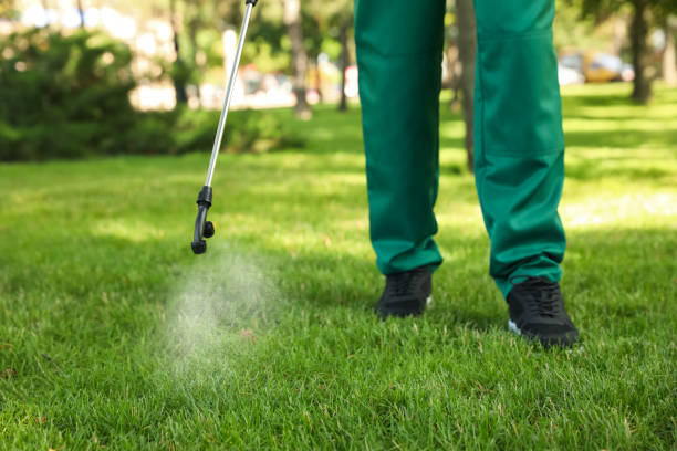 Best Pest Control for Homes  in Rankin, TX