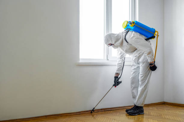 Reliable Rankin, TX Pest Control Solutions
