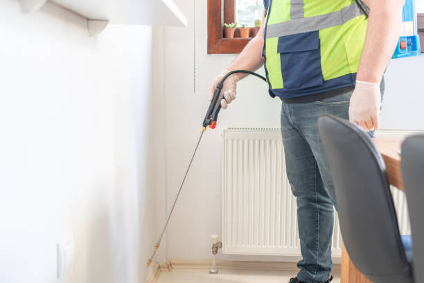 Best Flea Control Services  in Rankin, TX