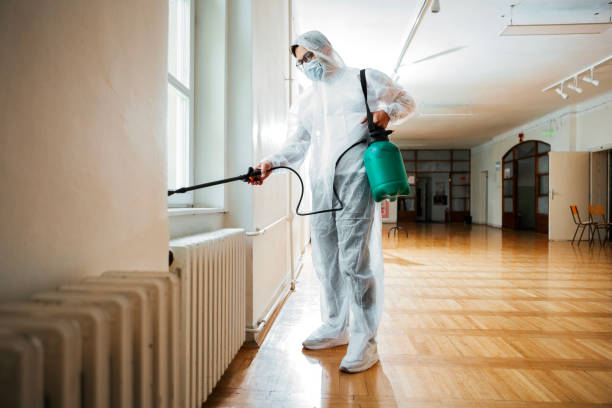 Best Local Pest Control Services  in Rankin, TX