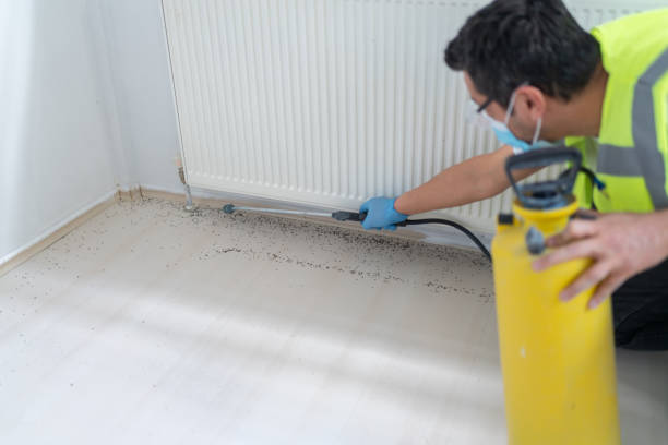 Best Pest Removal Services  in Rankin, TX