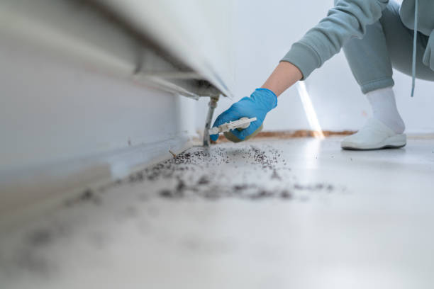Best Exterminator Services  in Rankin, TX